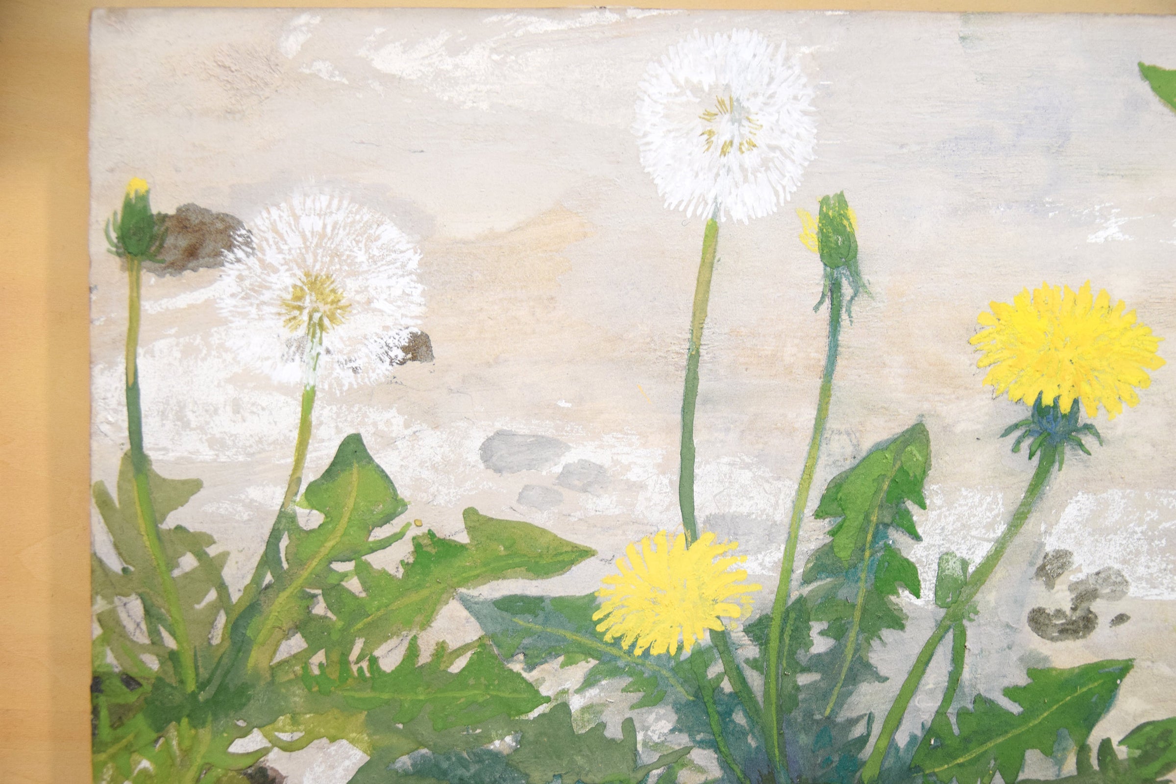 真鍋修 / 「タンポポの綿毛」/ F3号/日本画・紙本着彩 | Gallery